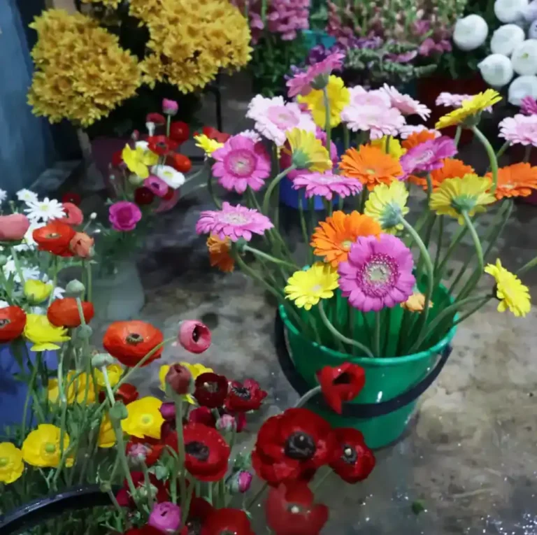Flowers per stem available at Botrivier Blomme